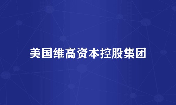 美国维高资本控股集团
