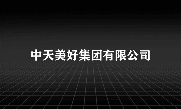 中天美好集团有限公司