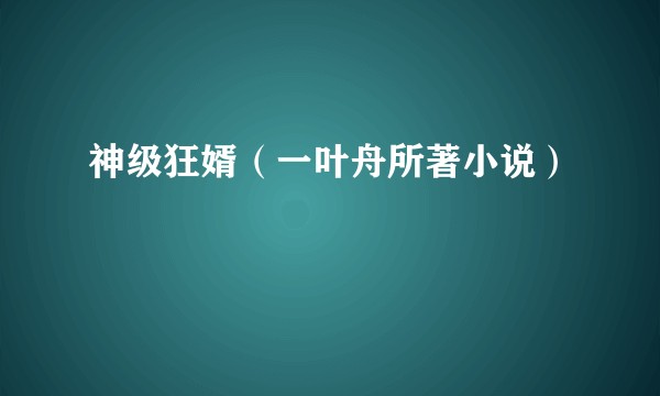 神级狂婿（一叶舟所著小说）