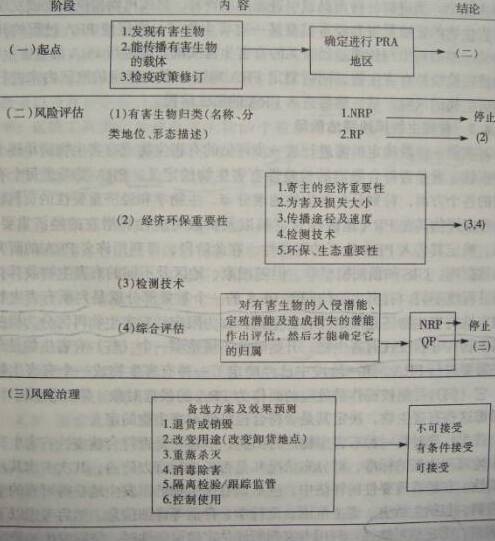 有害生物风险分析（检疫措施）