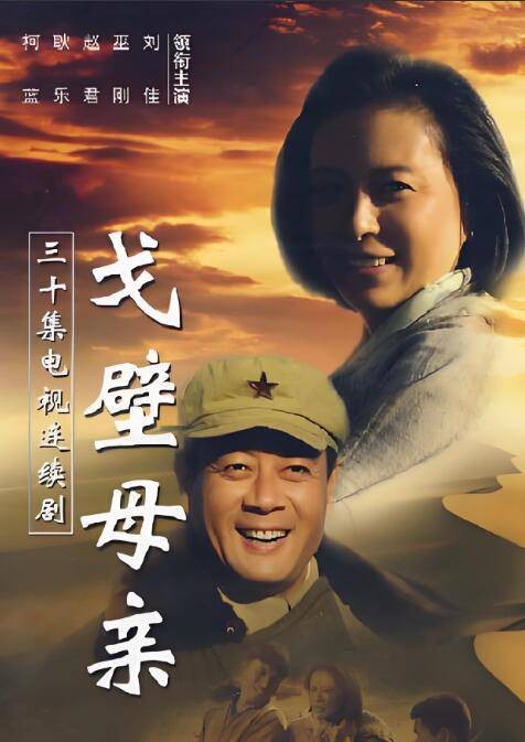戈壁母亲(2007年沈好放执导的情感剧)