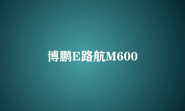博鹏E路航M600