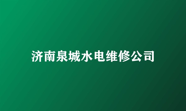 济南泉城水电维修公司