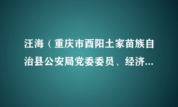 汪海（重庆市酉阳土家苗族自治县公安局党委委员、经济犯罪侦查大队大队长）