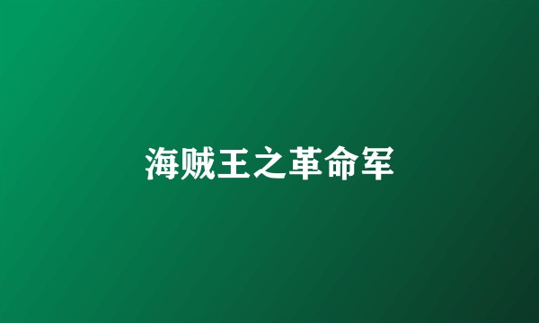 海贼王之革命军