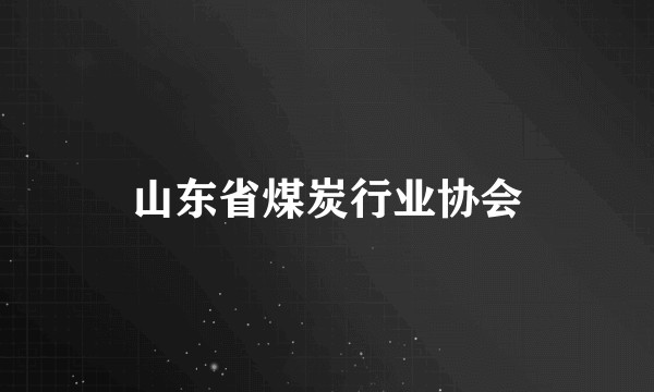 山东省煤炭行业协会