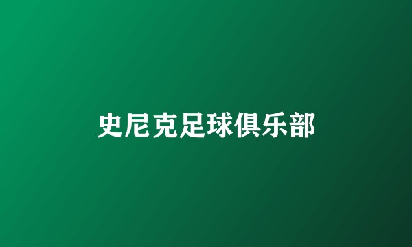 史尼克足球俱乐部