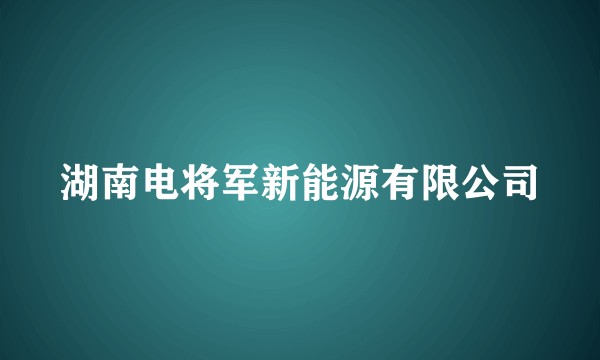 湖南电将军新能源有限公司