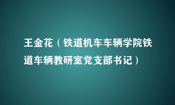 王金花（铁道机车车辆学院铁道车辆教研室党支部书记）