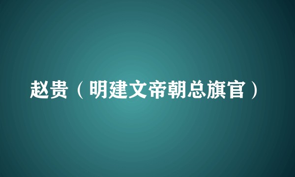 赵贵（明建文帝朝总旗官）