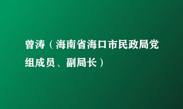 曾涛（海南省海口市民政局党组成员、副局长）