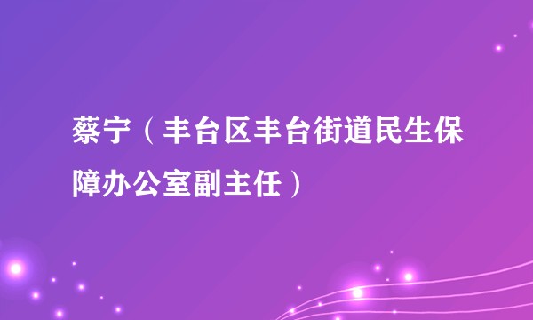 蔡宁（丰台区丰台街道民生保障办公室副主任）