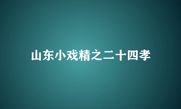 山东小戏精之二十四孝