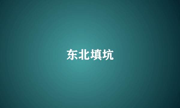 东北填坑