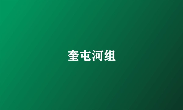 奎屯河组