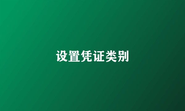 设置凭证类别