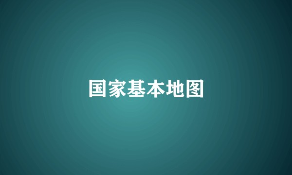 国家基本地图