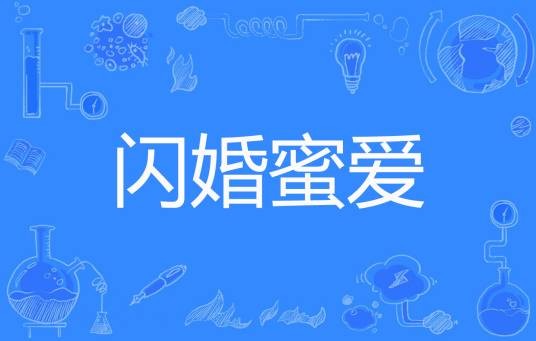 闪婚蜜爱（网络小说）