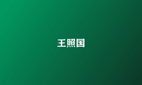 王照国