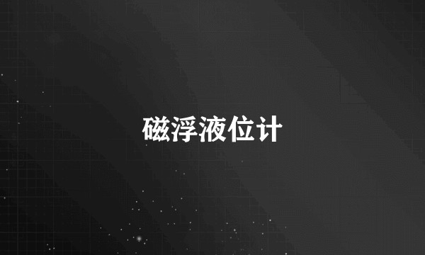 磁浮液位计