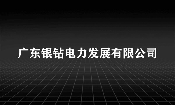 广东银钻电力发展有限公司