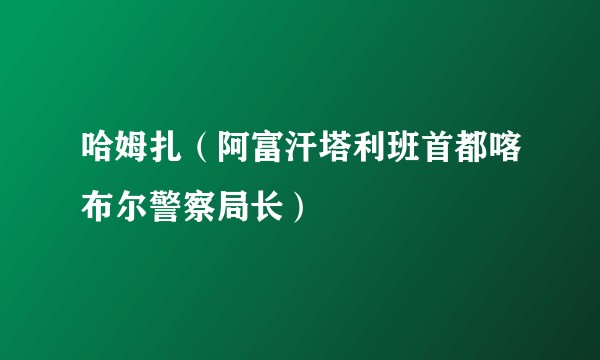 哈姆扎（阿富汗塔利班首都喀布尔警察局长）