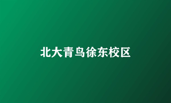 北大青鸟徐东校区