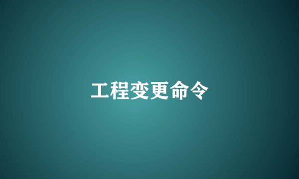 工程变更命令