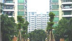嘉禾新城(佛山市南海区罗村街道境内的商住小区)