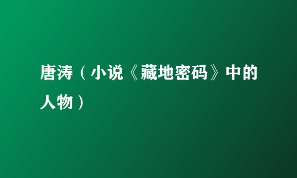 唐涛(小说《藏地密码》中的人物)