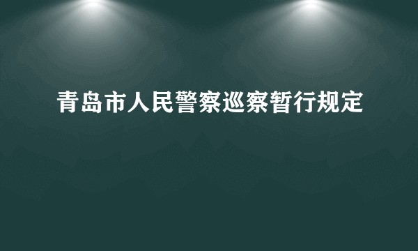 青岛市人民警察巡察暂行规定