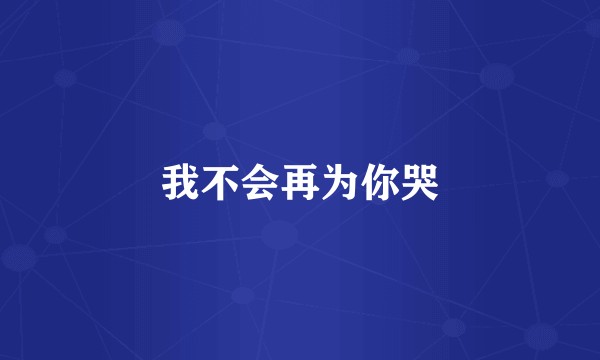 我不会再为你哭