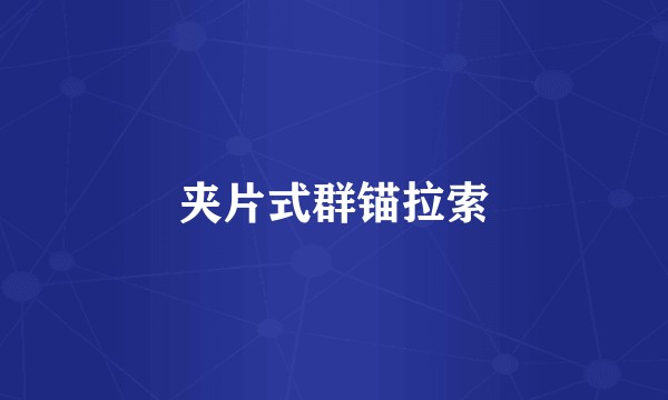 夹片式群锚拉索