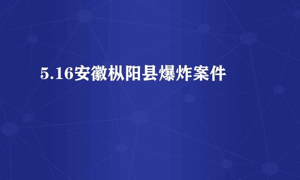 5.16安徽枞阳县爆炸案件
