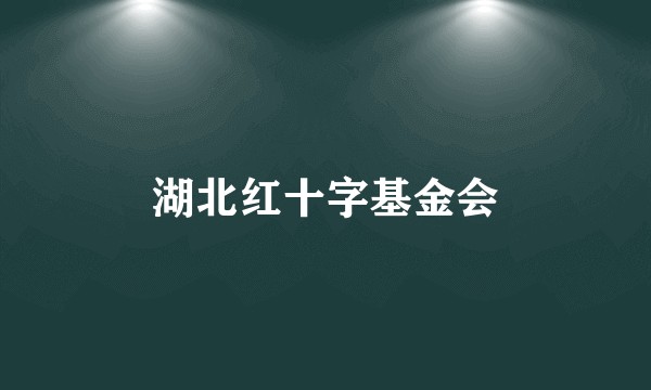 湖北红十字基金会