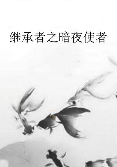 继承者之暗夜使者