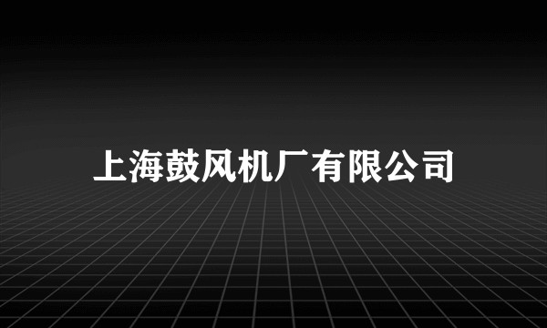 上海鼓风机厂有限公司