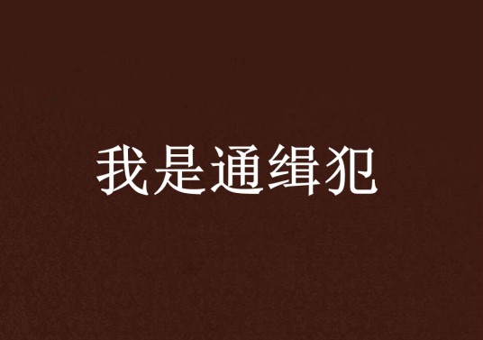 我是通缉犯