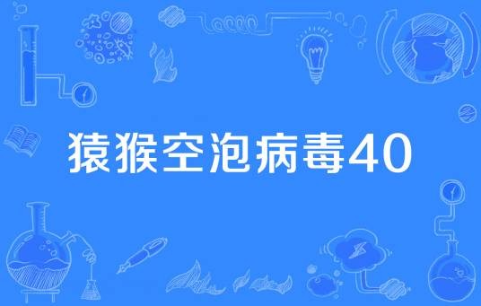 猿猴空泡病毒40