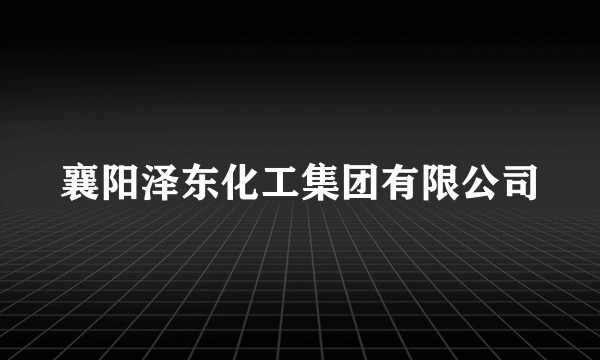 襄阳泽东化工集团有限公司