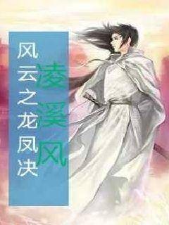 风云之龙凤决