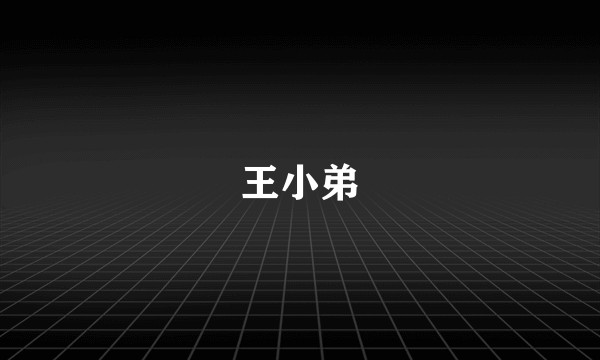 王小弟
