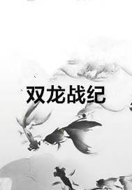 双龙战纪