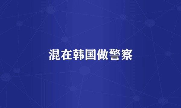 混在韩国做警察