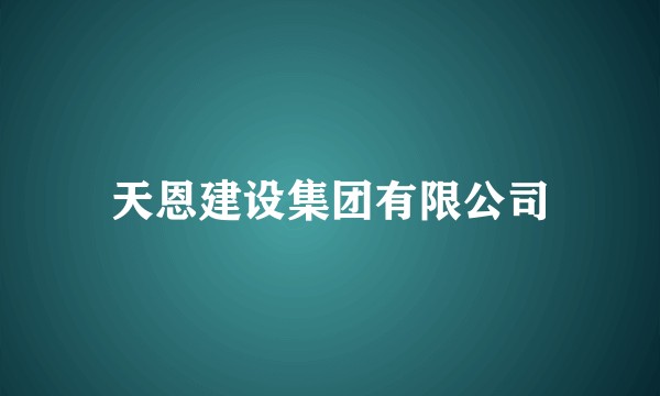 天恩建设集团有限公司