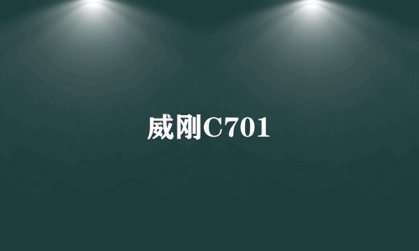 威刚C701
