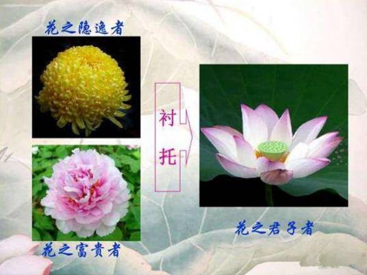 衬托手法
