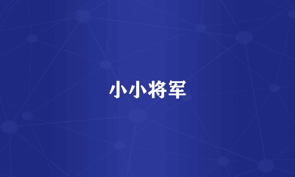 小小将军