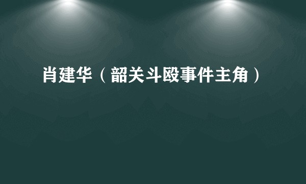 肖建华(韶关斗殴事件主角)