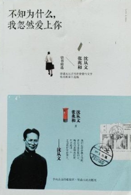不知为什么，我忽然爱上你